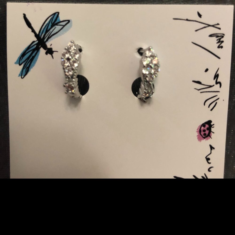 Lever Back Platinum Earrings